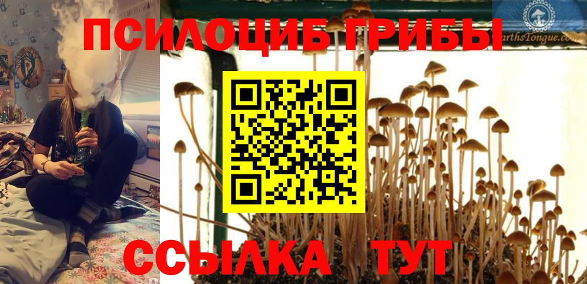 Ачинск  Псилоцибиновые грибы мухоморы  Вход с VPN  продажа наркотиков  Псилоцибиновые грибы прущие грибы 